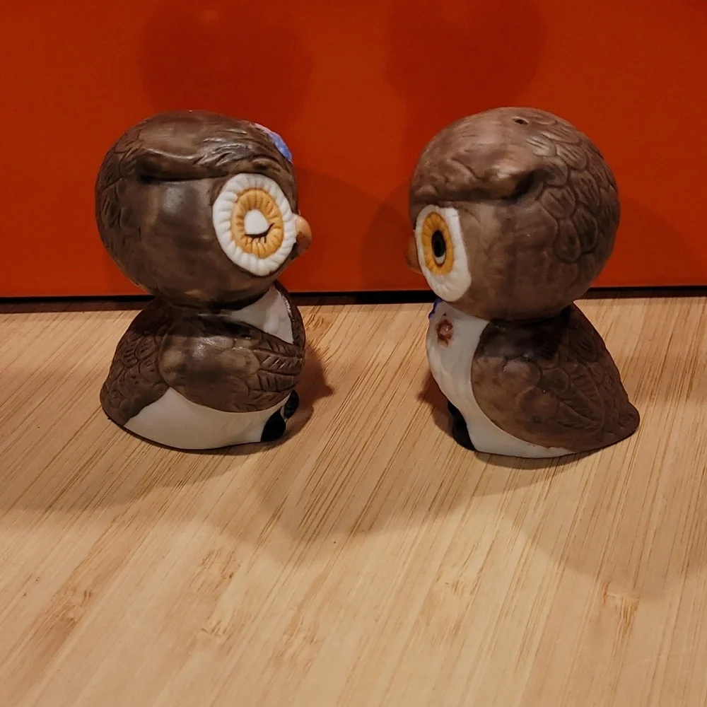 Brown and White Owl Salt & Pepper Set - Picture 4 of 4